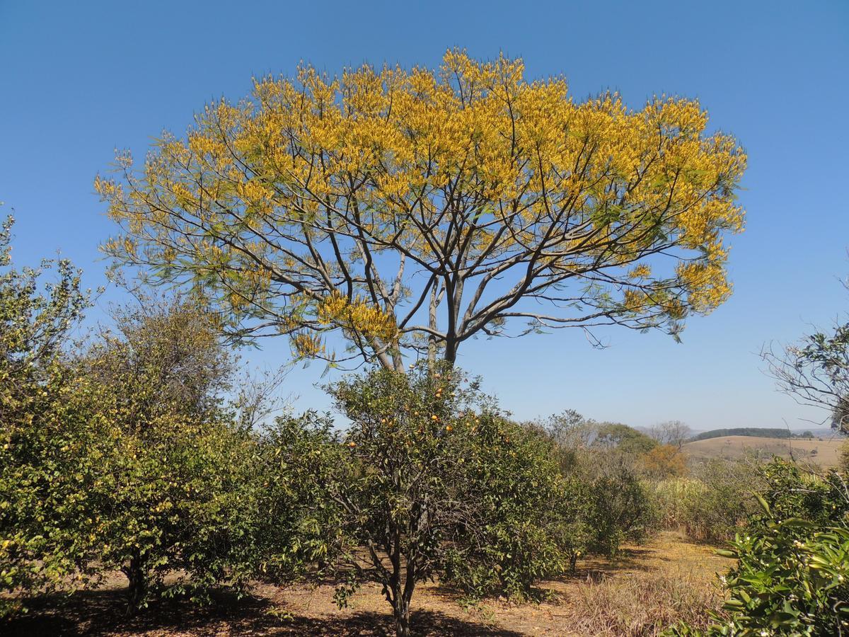 Pousada Sitio Da Serra 카항카스 외부 사진